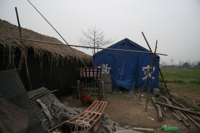 3175267966_ae52267b3f_o